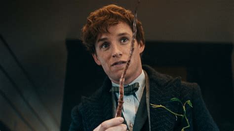 eddie redmayne burberry campaign|who played newt scamander.